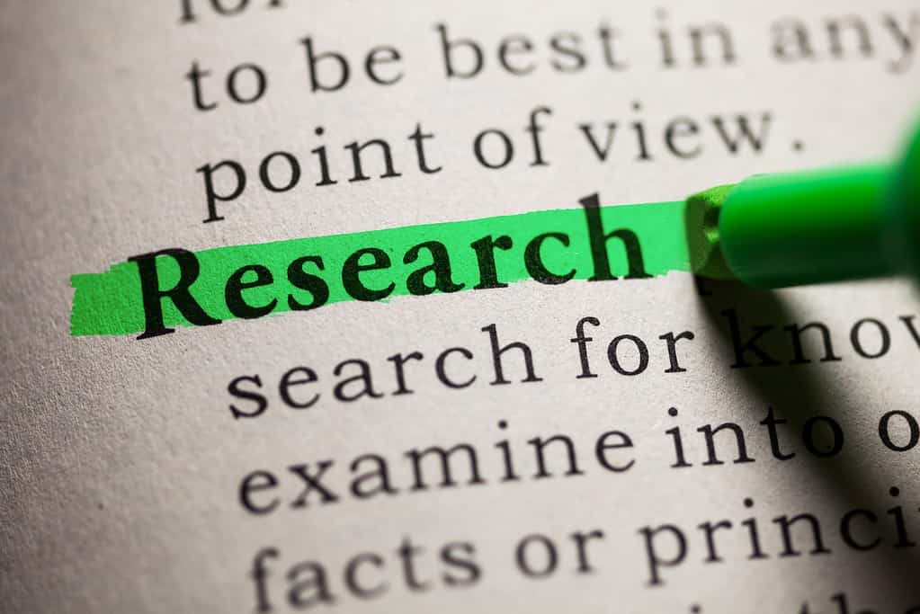 Fake Dictionary, definition of the word research.